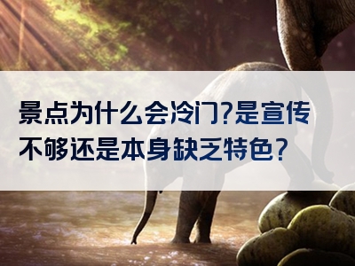 景点为什么会冷门？是宣传不够还是本身缺乏特色？