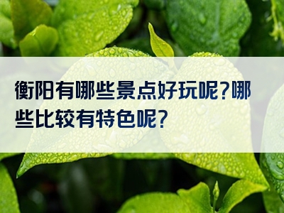 衡阳有哪些景点好玩呢？哪些比较有特色呢？