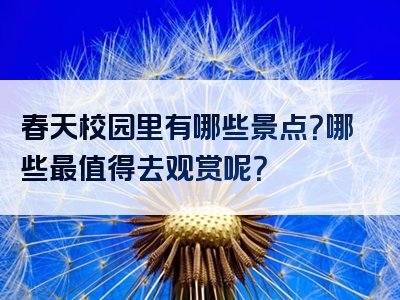 春天校园里有哪些景点？哪些最值得去观赏呢？