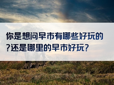 你是想问早市有哪些好玩的？还是哪里的早市好玩？