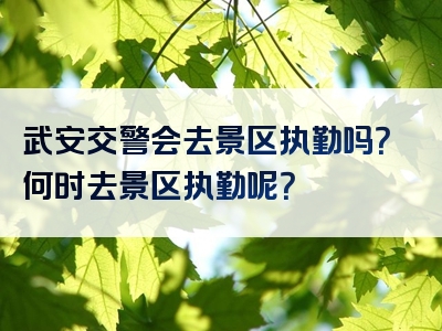 武安交警会去景区执勤吗？何时去景区执勤呢？