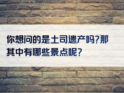 你想问的是土司遗产吗？那其中有哪些景点呢？