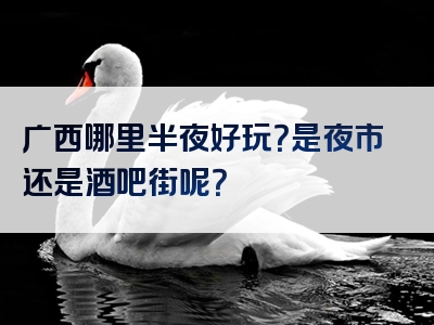 广西哪里半夜好玩？是夜市还是酒吧街呢？