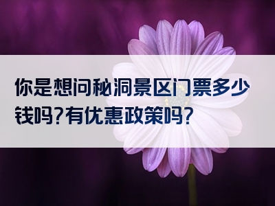 你是想问秘洞景区门票多少钱吗？有优惠政策吗？