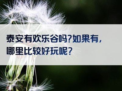 泰安有欢乐谷吗？如果有，哪里比较好玩呢？