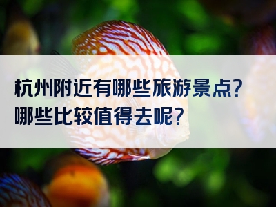 杭州附近有哪些旅游景点？哪些比较值得去呢？