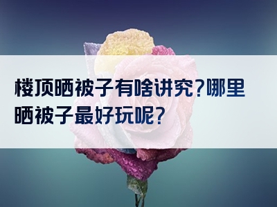 楼顶晒被子有啥讲究？哪里晒被子最好玩呢？