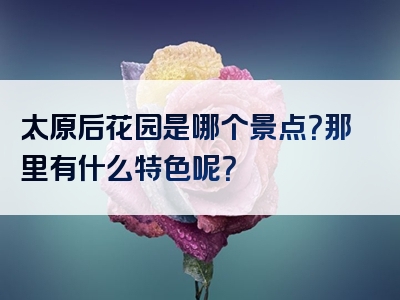 太原后花园是哪个景点？那里有什么特色呢？