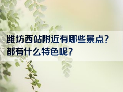 潍坊西站附近有哪些景点？都有什么特色呢？