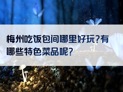 梅州吃饭包间哪里好玩？有哪些特色菜品呢？
