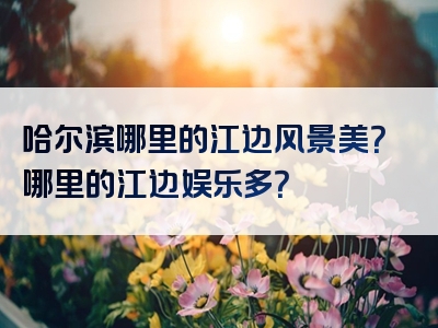 哈尔滨哪里的江边风景美？哪里的江边娱乐多？