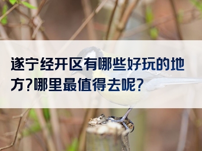 遂宁经开区有哪些好玩的地方？哪里最值得去呢？