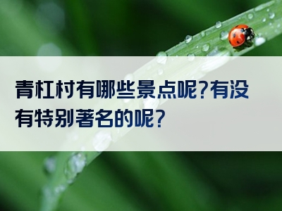 青杠村有哪些景点呢？有没有特别著名的呢？