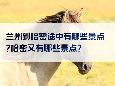 兰州到哈密途中有哪些景点？哈密又有哪些景点？