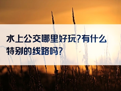 水上公交哪里好玩？有什么特别的线路吗？
