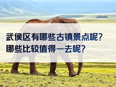 武侯区有哪些古镇景点呢？哪些比较值得一去呢？