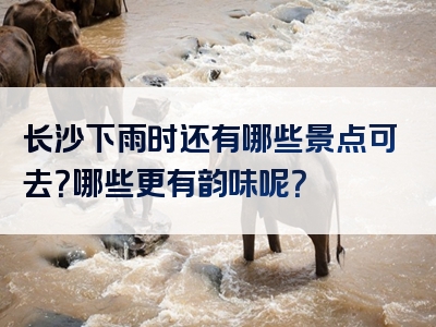 长沙下雨时还有哪些景点可去？哪些更有韵味呢？