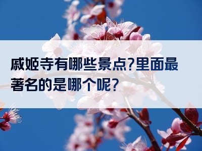 戚姬寺有哪些景点？里面最著名的是哪个呢？