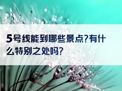 5号线能到哪些景点？有什么特别之处吗？