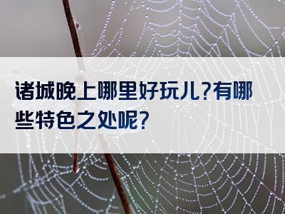 诸城晚上哪里好玩儿？有哪些特色之处呢？