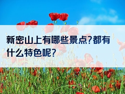 新密山上有哪些景点？都有什么特色呢？