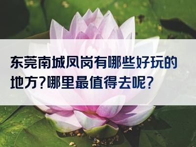 东莞南城凤岗有哪些好玩的地方？哪里最值得去呢？