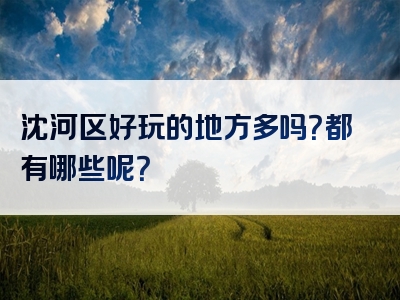 沈河区好玩的地方多吗？都有哪些呢？