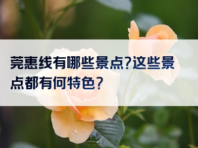 莞惠线有哪些景点？这些景点都有何特色？