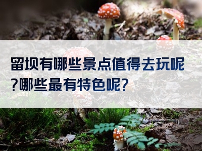 留坝有哪些景点值得去玩呢？哪些最有特色呢？