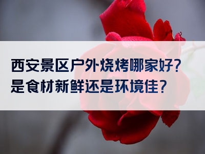 西安景区户外烧烤哪家好？是食材新鲜还是环境佳？