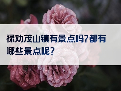 禄劝茂山镇有景点吗？都有哪些景点呢？