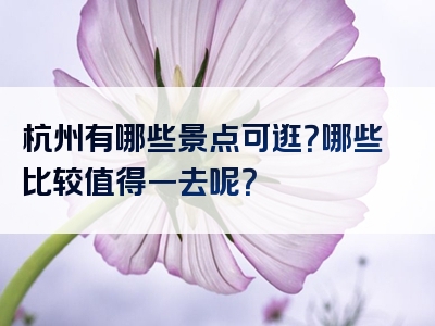 杭州有哪些景点可逛？哪些比较值得一去呢？