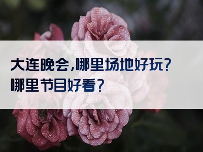 大连晚会，哪里场地好玩？哪里节目好看？