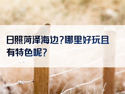日照菏泽海边？哪里好玩且有特色呢？
