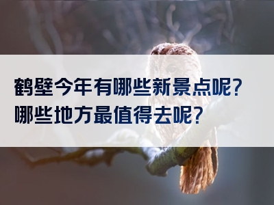 鹤壁今年有哪些新景点呢？哪些地方最值得去呢？