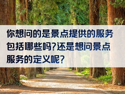 你想问的是景点提供的服务包括哪些吗？还是想问景点服务的定义呢？