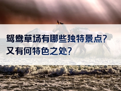 鸳鸯草场有哪些独特景点？又有何特色之处？