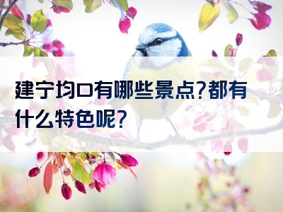 建宁均口有哪些景点？都有什么特色呢？