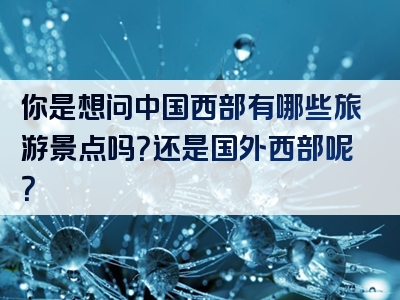 你是想问中国西部有哪些旅游景点吗？还是国外西部呢？