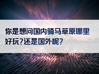 你是想问国内骑马草原哪里好玩？还是国外呢？