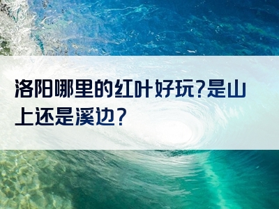 洛阳哪里的红叶好玩？是山上还是溪边？