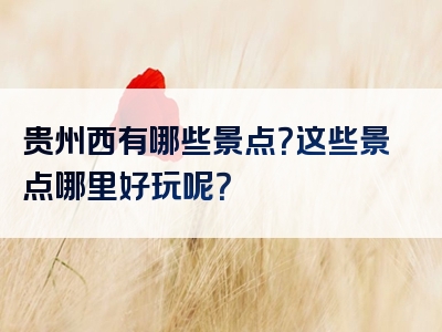 贵州西有哪些景点？这些景点哪里好玩呢？