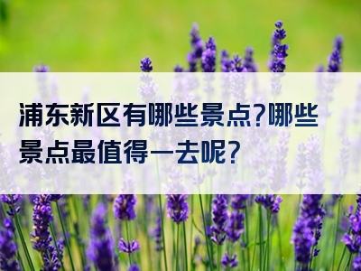 浦东新区有哪些景点？哪些景点最值得一去呢？