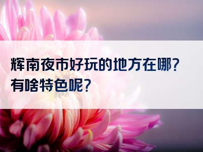 辉南夜市好玩的地方在哪？有啥特色呢？