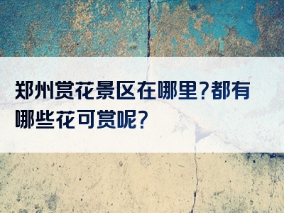 郑州赏花景区在哪里？都有哪些花可赏呢？