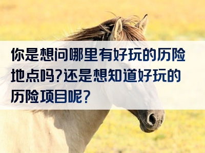 你是想问哪里有好玩的历险地点吗？还是想知道好玩的历险项目呢？