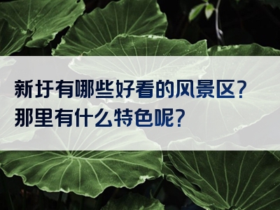 新圩有哪些好看的风景区？那里有什么特色呢？