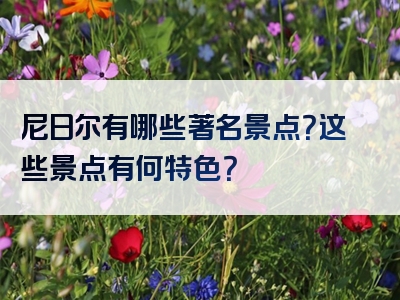 尼日尔有哪些著名景点？这些景点有何特色？