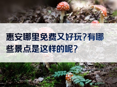 惠安哪里免费又好玩？有哪些景点是这样的呢？