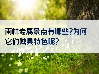 雨林专属景点有哪些？为何它们独具特色呢？